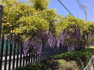 4月19日は創立記念日